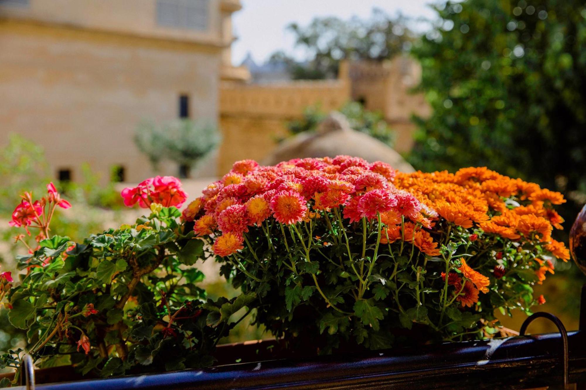 Royal Antique Boutique Hotel Baku Eksteriør billede